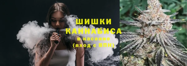 спайс Арсеньев