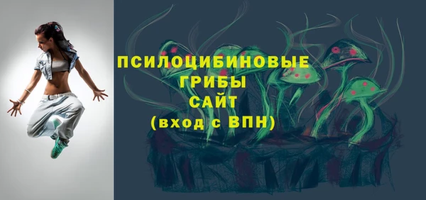 спайс Арсеньев
