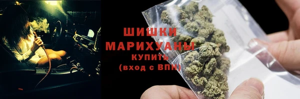 спайс Арсеньев