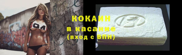 гашик Аркадак