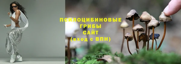 тгк Нефтекумск