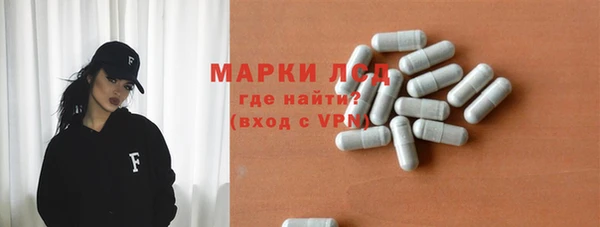 гашик Аркадак