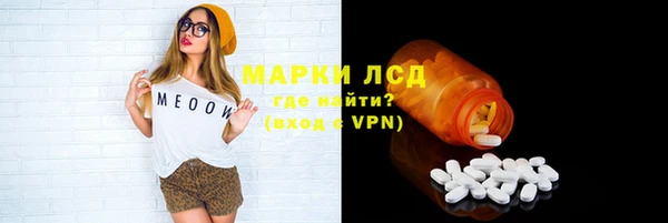 гашик Аркадак