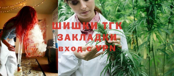 гашик Аркадак