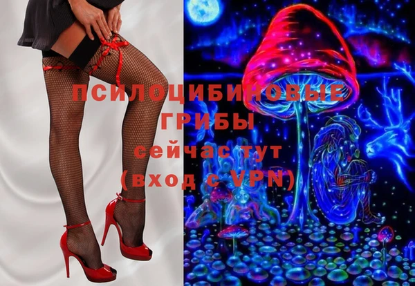 гашик Аркадак