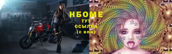гашик Аркадак